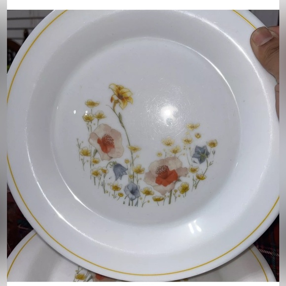 Set of 7- Arcopal ARC Provincial Milk Glass 10” Dinner Plates. France. - Picture 2 of 3
